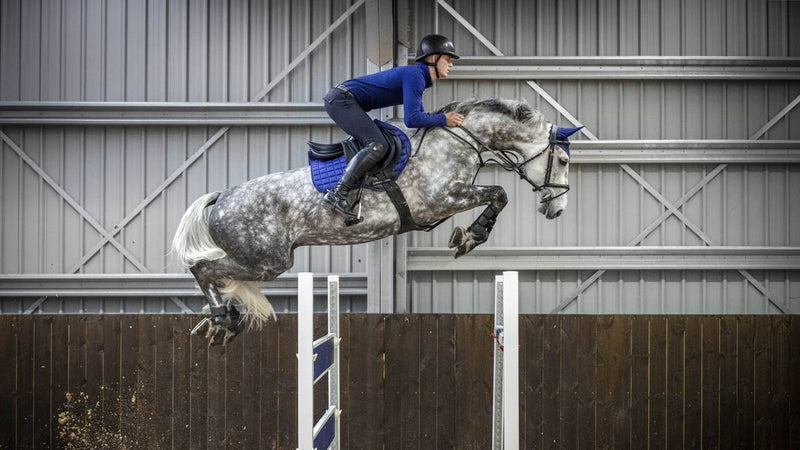 LeMieux Loire Close Contact Square