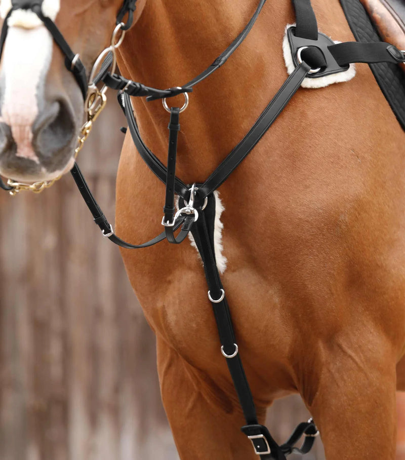 Premier Equine Invorio 5 Point Breastplate