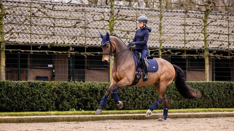 LeMieux Loire Dressage Square