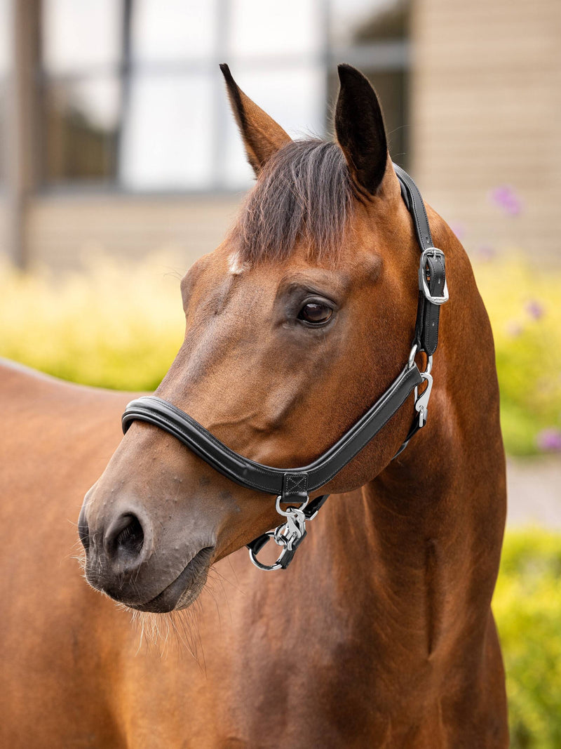 Lemeiux Leather Grooming Headcollar