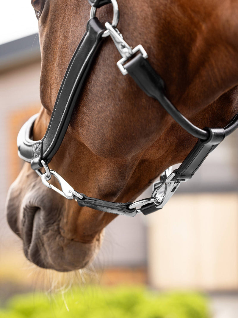 Lemeiux Leather Grooming Headcollar