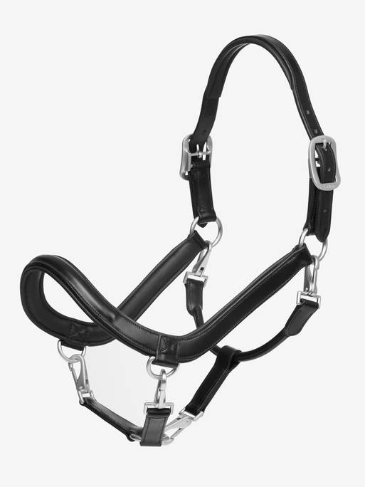 Lemeiux Leather Grooming Headcollar