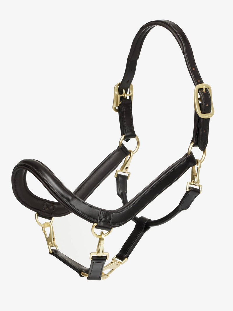 Lemeiux Leather Grooming Headcollar