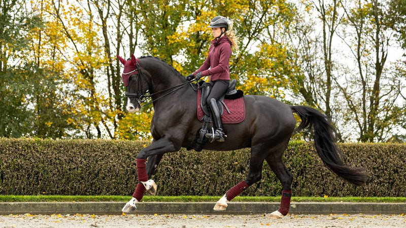 LeMieux Crystal Suede Dressage Square