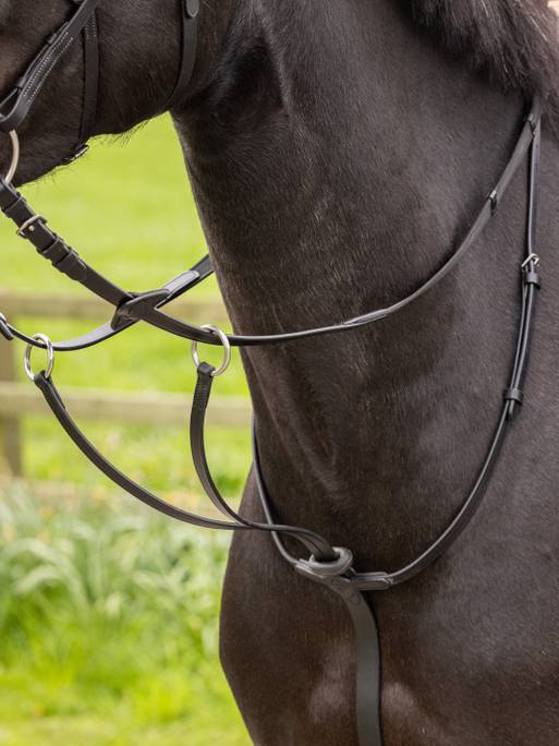 Lemieux Arika Running Martingale