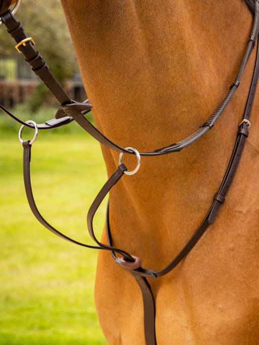 Lemieux Arika Running Martingale