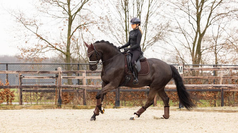 LeMieux Crystal Suede Dressage Square