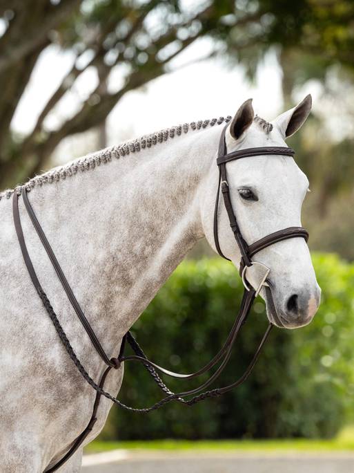 Lemieux Stitched Hunter Bridle with Laced Reins - Havana/Silver