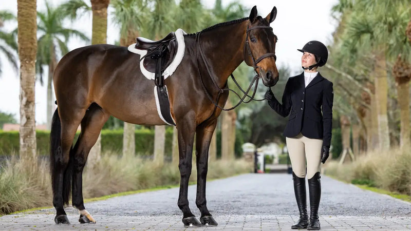 LeMieux Merino+ ProSorb Hunter Saddle Pad