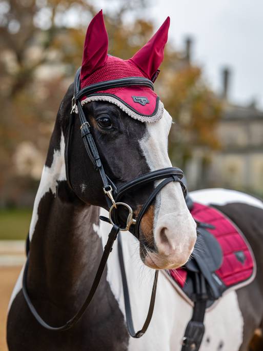 Lemieux Loire Fly Hood - Ember