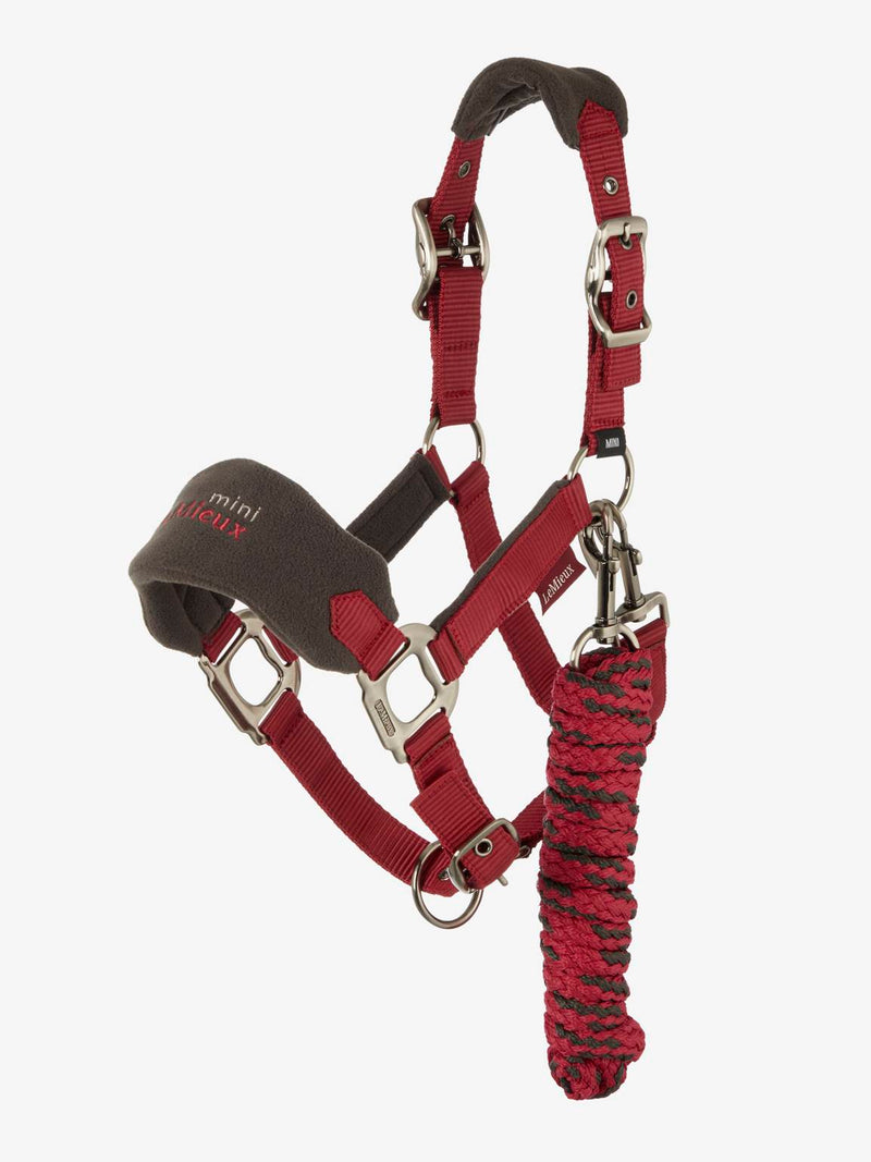 Lemieux Mini Vogue Headcollar - Ember