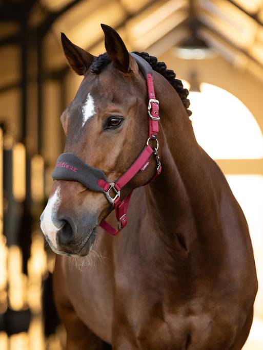 Lemieux Vogue Headcollar & Leadrope - Ember