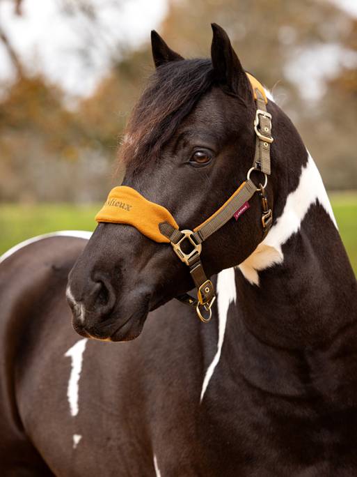 Lemieux Vogue Headcollar & Leadrope - Alpine