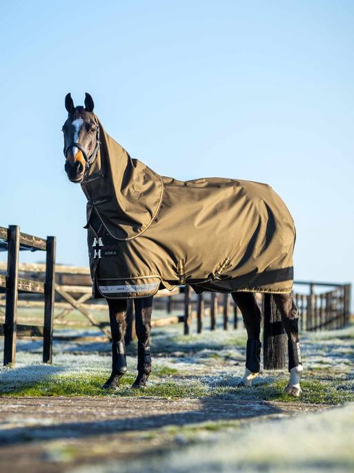 Lemieux Arika Ripstop 50g Turnout Rug - Alpine