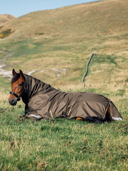 Lemieux Arika Ripstop 50g Turnout Rug - Alpine