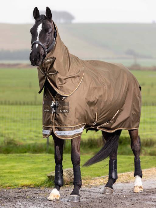 Lemieux Arika Ripstop 200g Turnout Rug - Alpine