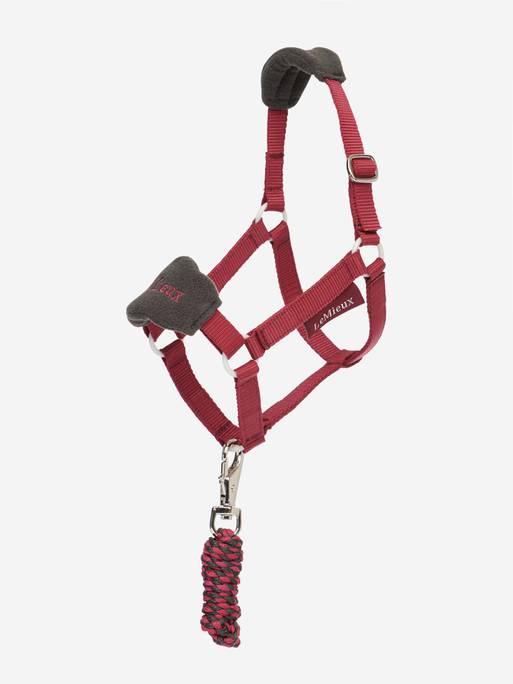 Lemieux Hobby Horse Vogue Headcollar & Leadrope - Ember