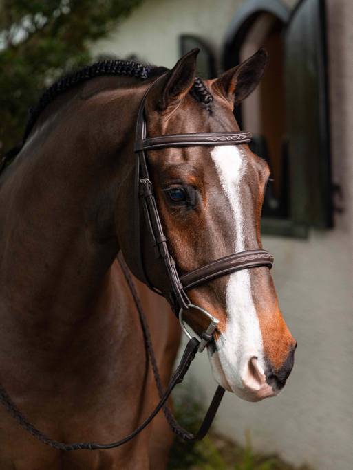 Lemieux Stitched Hunter Bridle with Laced Reins - Havana/Silver