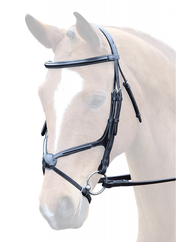 Lavello Grackle Bridle