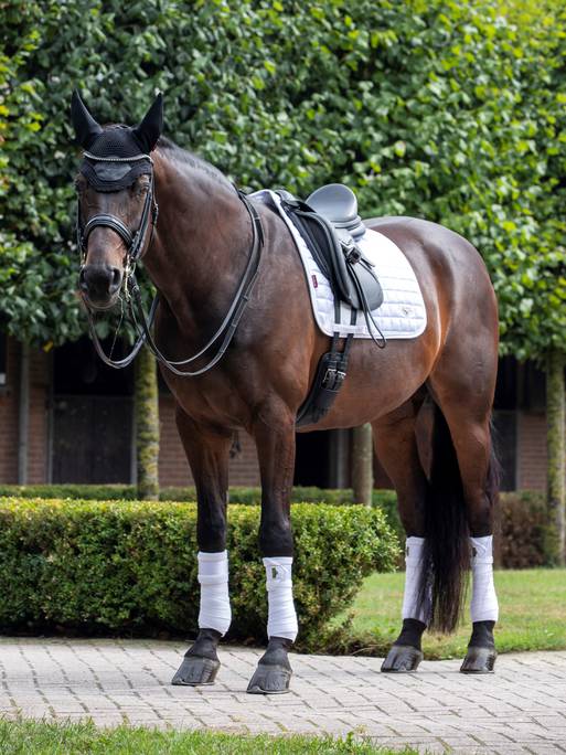 LeMieux Loire Dressage Square