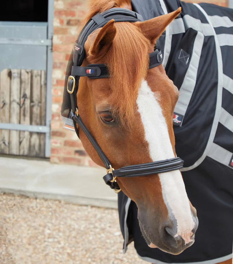 Premier Equine Magni-Teque Magnetic Browband