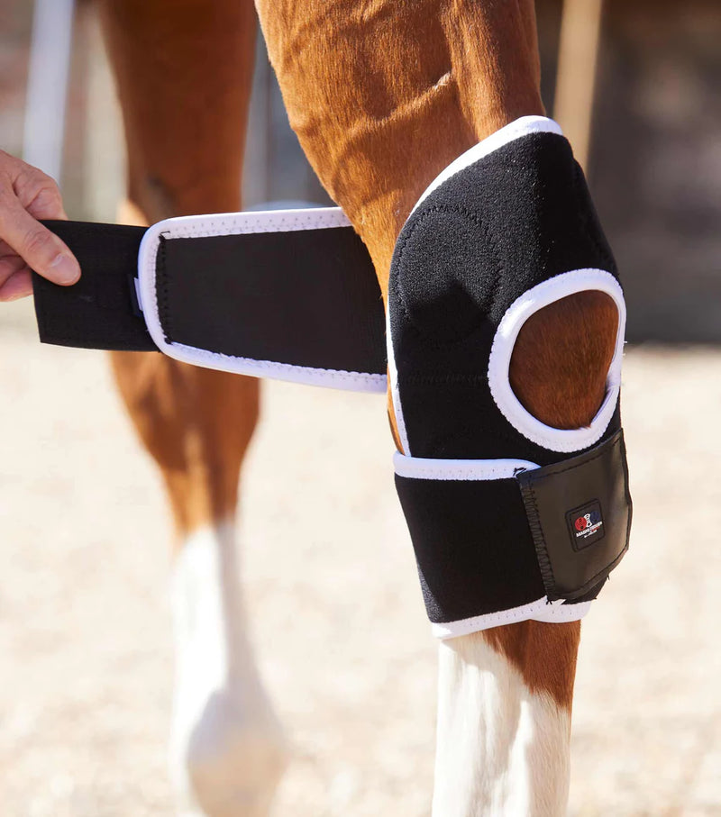 Premier Equine Magni-Teque Hock Boot