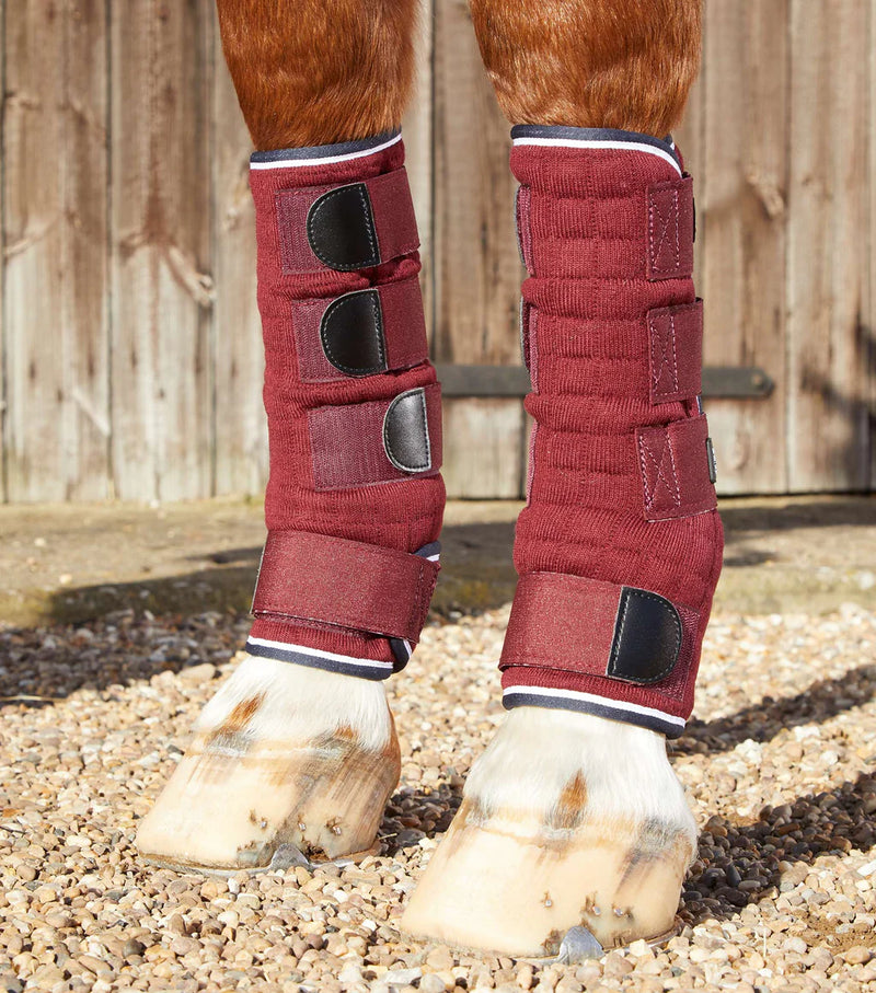 Premier Equine Quick Dry Leg Wraps