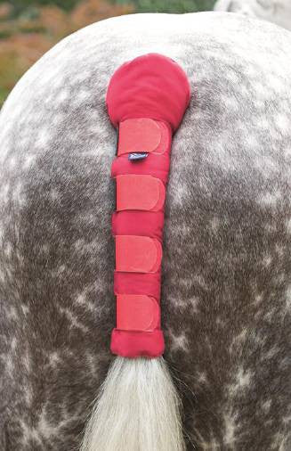 Arma Padded Tail Guard - Nags Essentials