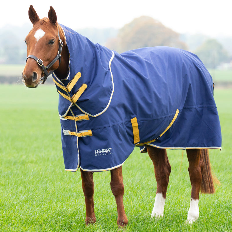 Tempest Original 50 Turnout Rug & Neck Set