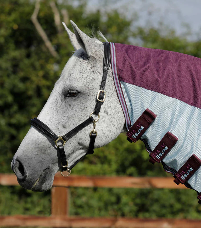 Premier Equine Stay-Dry Mesh Air Fly Rug with Surcingles