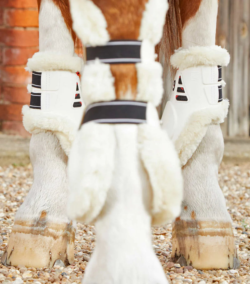 Premier Equine Techno Wool Fetlock Boots