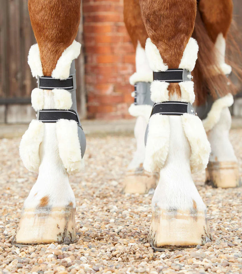 Premier Equine Techno Wool Tendon Boots