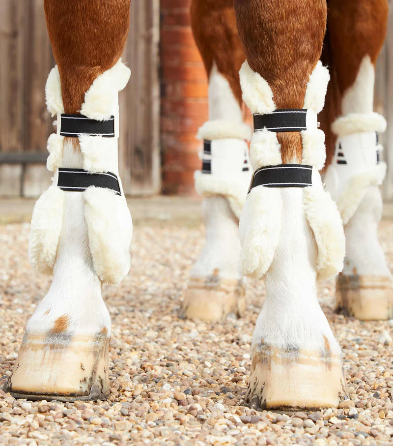 Premier Equine Techno Wool Tendon Boots