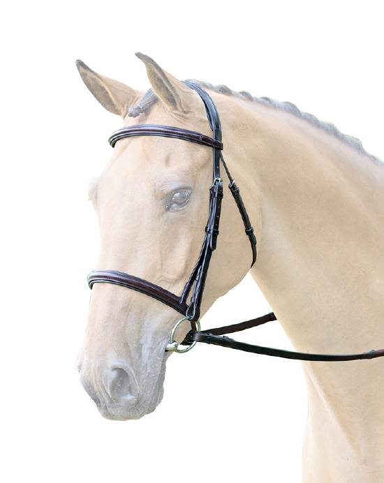 Lavello Raised Cavesson Bridle - Nags Essentials