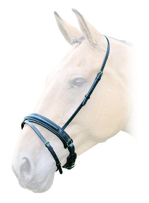 Lavello Padded Crank Flash Noseband - Nags Essentials