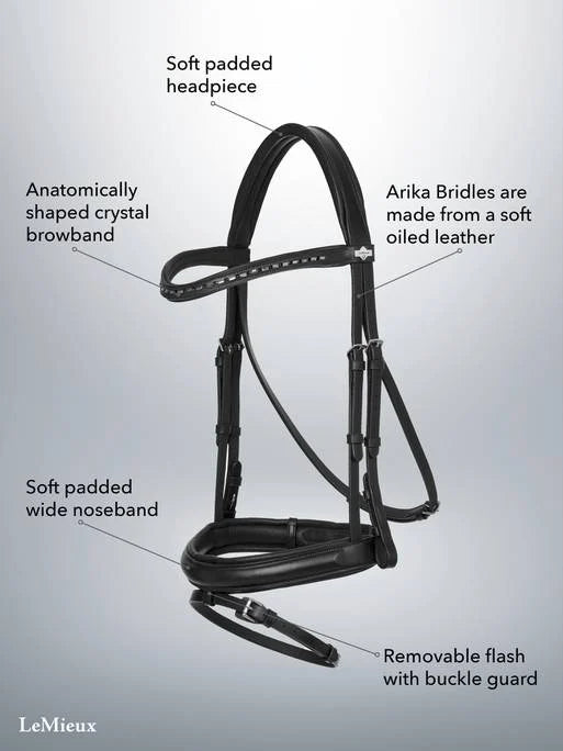 Lemieux Arika Dressage Bridle