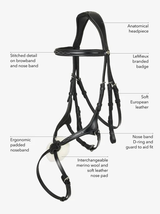 LeMieux Kudos Grackle Bridle