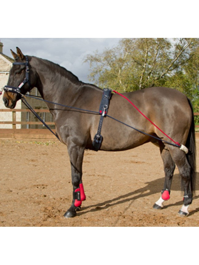 John Whitaker Training System - Nags Essentials