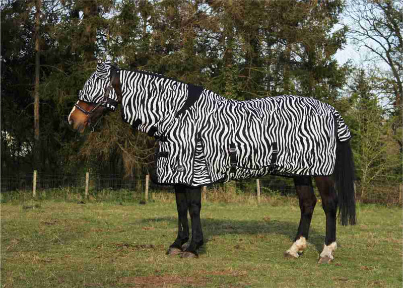 All In One Zebra Fly Rug - Nags Essentials