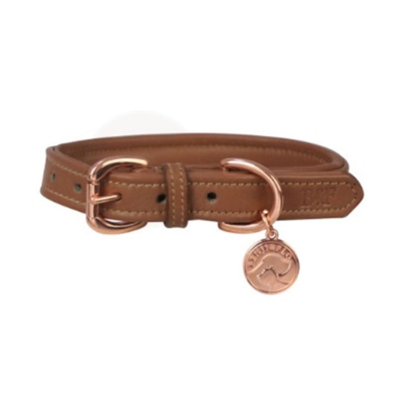 Benji & Flo Deluxe Padded Leather Dog Collar