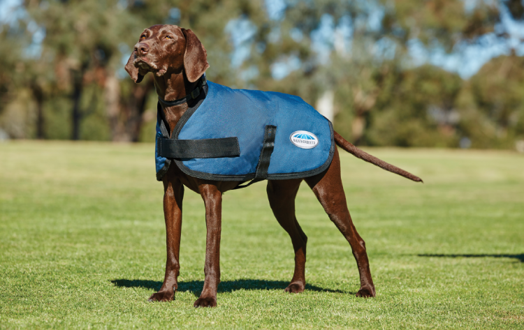 WeatherBeeta ComFiTec Classic Dog Coat - Nags Essentials