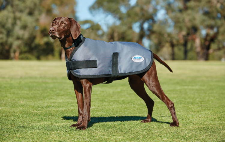 WeatherBeeta ComFiTec Classic Dog Coat - Nags Essentials