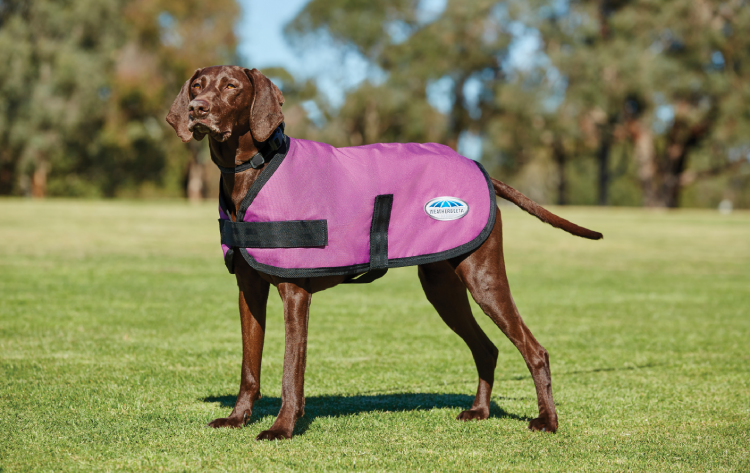 WeatherBeeta ComFiTec Classic Dog Coat - Nags Essentials