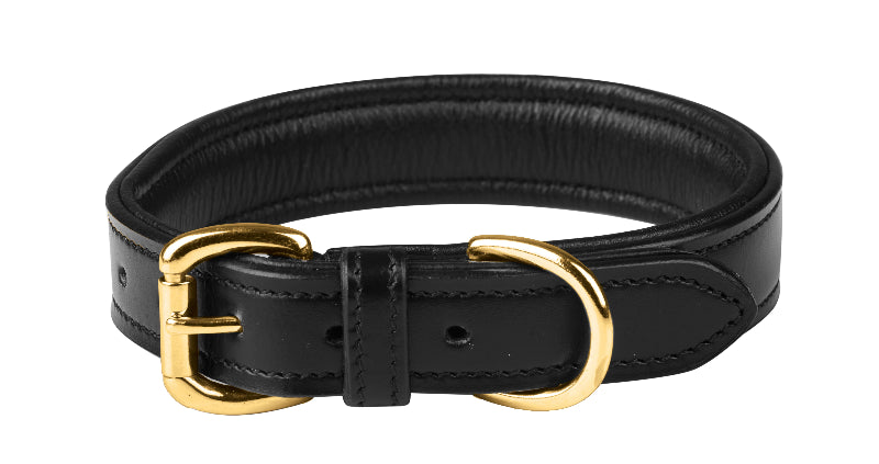 Weatherbeeta Padded Leather Dog Collar - Nags Essentials