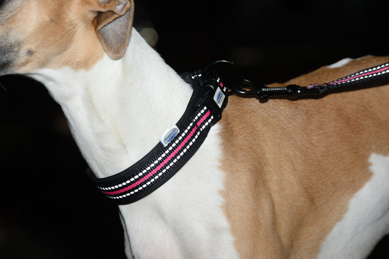 Weatherbeeta Reflective Dog Collar