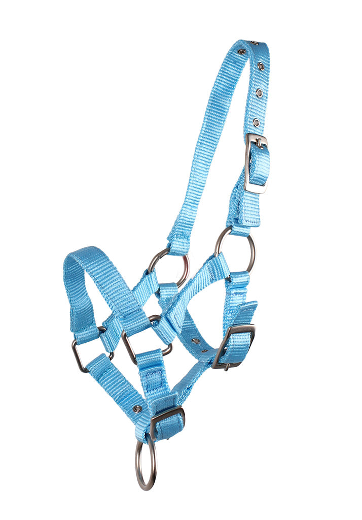 Foal Head Collar - Nags Essentials