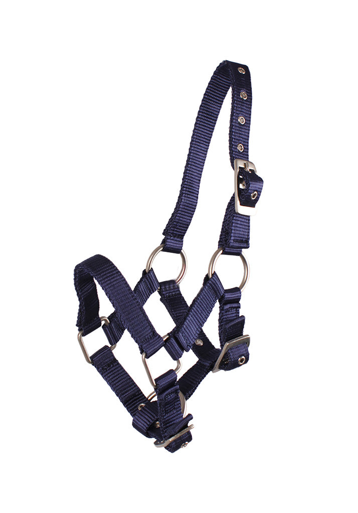 Foal Head Collar - Nags Essentials