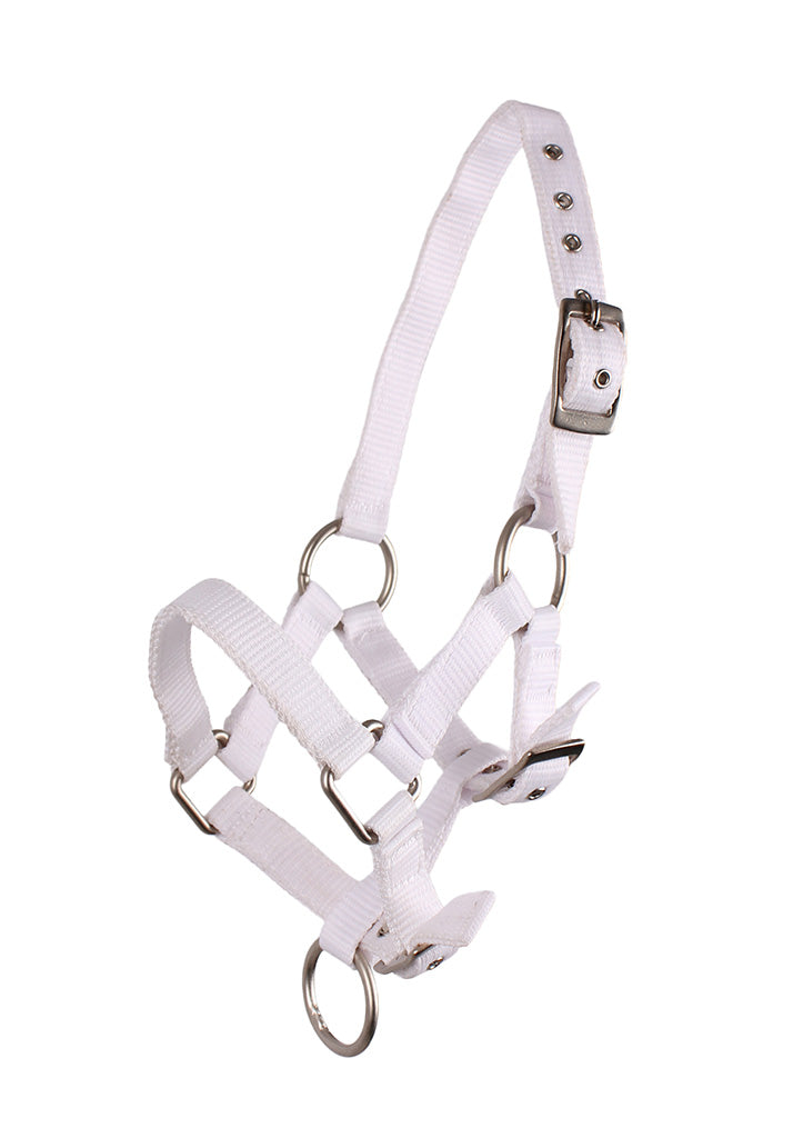 Foal Head Collar - Nags Essentials