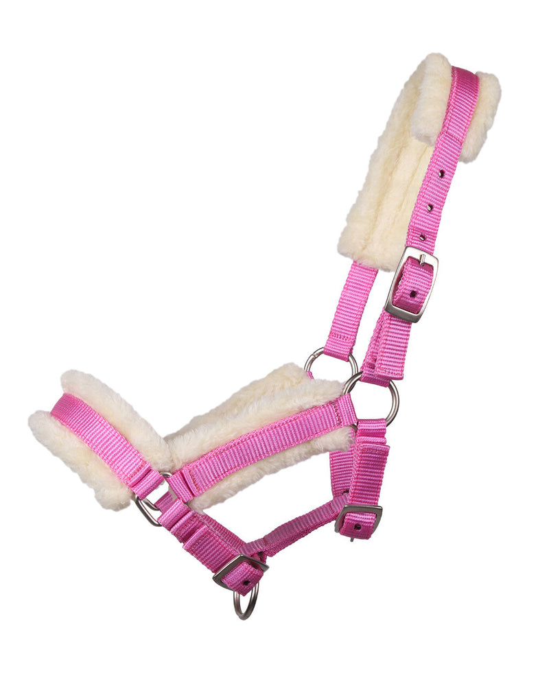 Foal Headcollar with Fur