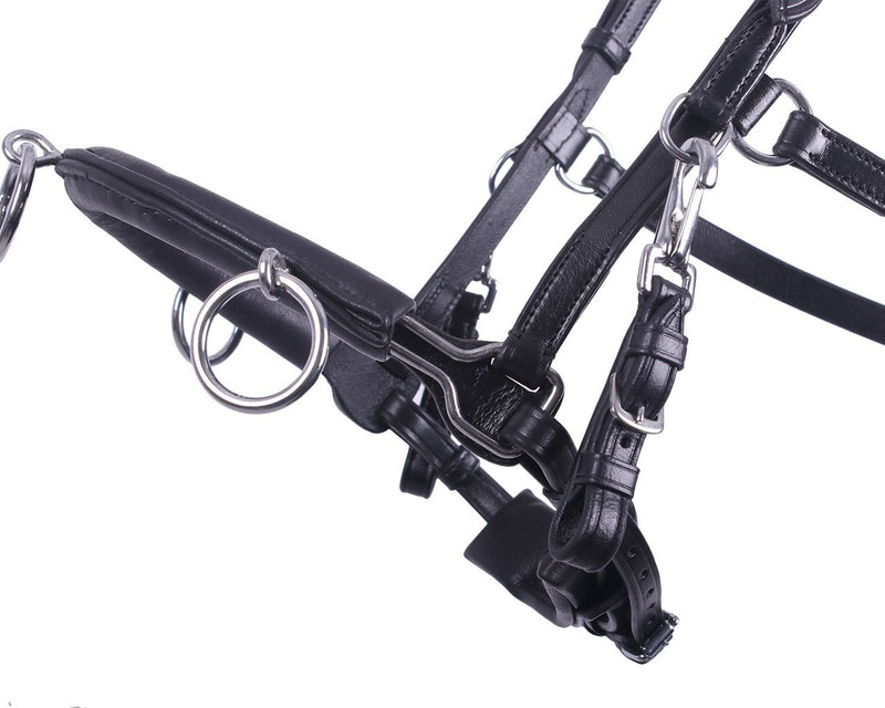 Multifunctional Leather Cavesson / Bridle - Nags Essentials